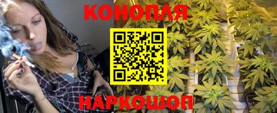 гашик Ипатово