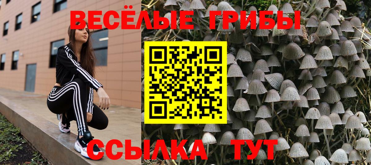 Псилоцибиновые грибы ЛСД  Галлюциногенные грибы Psilocybe  Вход с VPN  наркотики  Куйбышев 