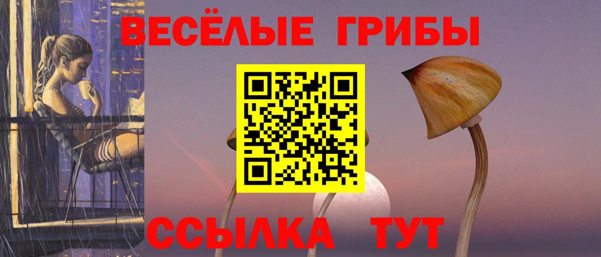 Галлюциногенные грибы MAGIC MUSHROOMS Куйбышев